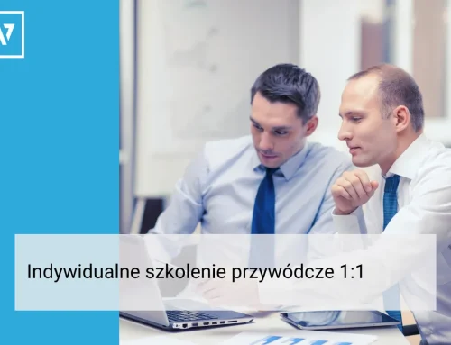 Indywidualne szkolenie przywódcze 1:1 – jak z trenerem biznesu krok po kroku rozwinąć swoje umiejętności liderskie (na przykładzie pracy z modelem DISC)