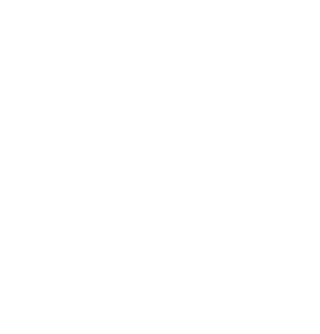 Logo Wiktor Tokarski